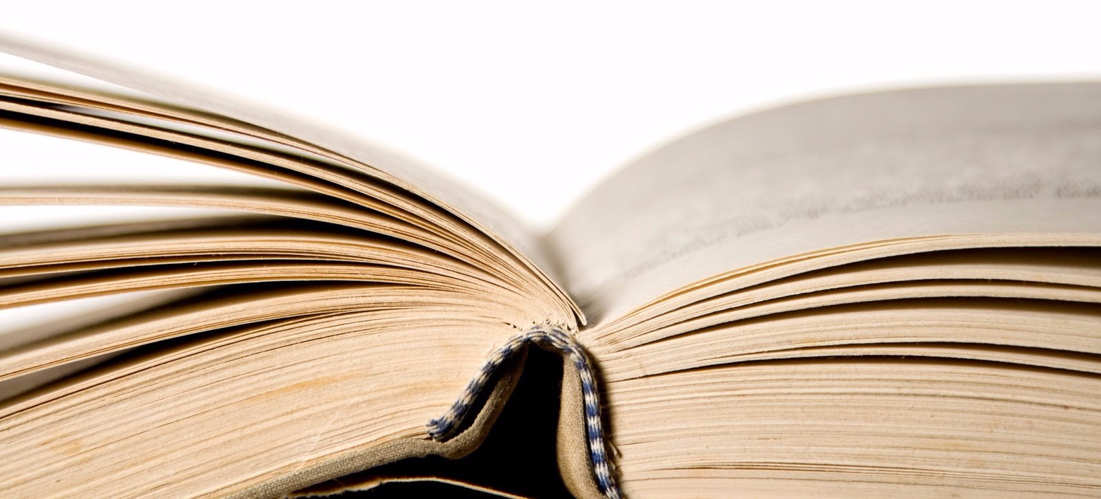 Book Review They Smell Like Sheep, Vol. 1